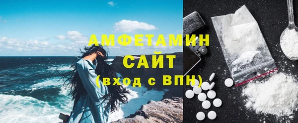 ECSTASY Алзамай